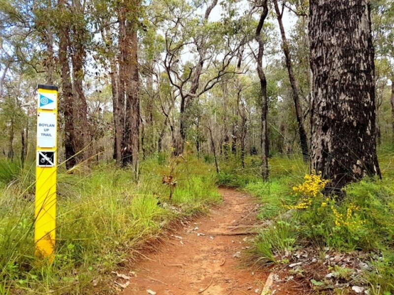 Boylan Trail, Mt Lennard trail network (Photo Credit: Kim Fawcett).