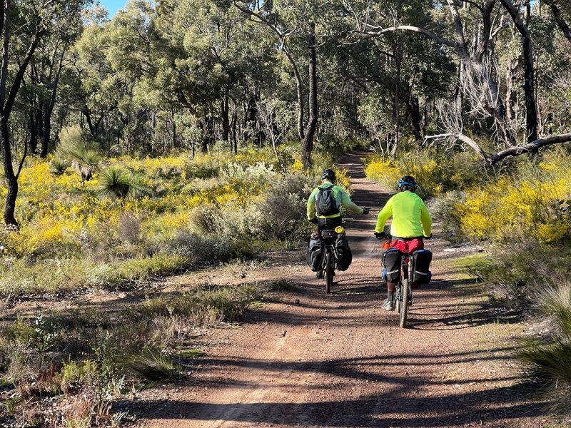 Western Australian wildflowers on the ride to Carinyah campsite (Photo Credit: Bryan Lee)