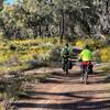 Western Australian wildflowers on the ride to Carinyah campsite (Photo Credit: Bryan Lee)