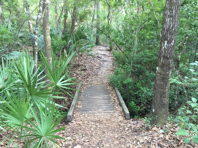 A sturdy foot bridge aids your passage over this drainage.