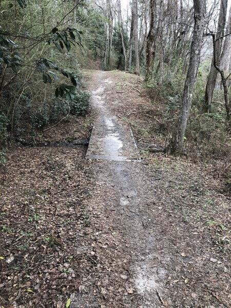 Bridge and sandy singletrack.