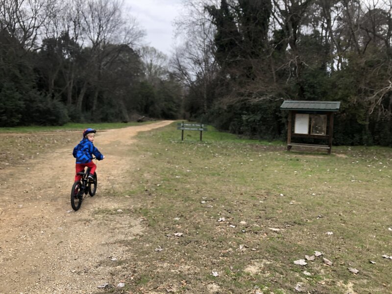 South entrance to Forest Road trail. Cross Country trail tees off to the left.