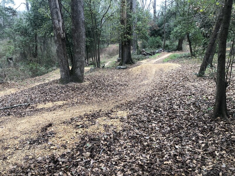 Flow area- several berms, rollers, and tabletop jumps of different difficulties. 4 short downhill trails marked by skill level signs (easy-most difficult).