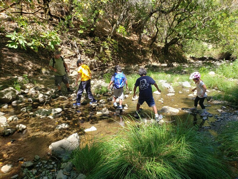 Exploring the water just below NoHorse bridge.