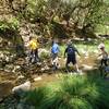 Exploring the water just below NoHorse bridge.