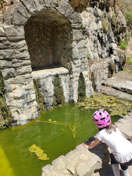 Exploring the Mineral Springs Bath Ruins.