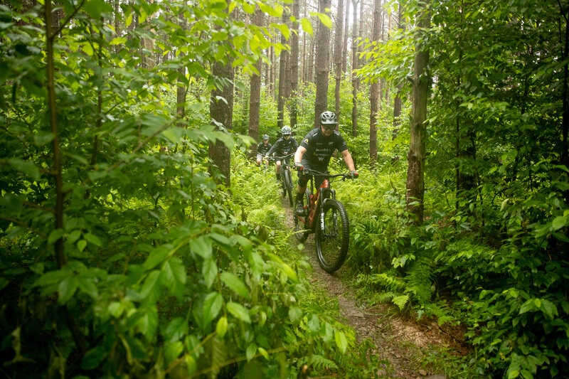 The Pines on the Race Loop Trail (marked Yellow)