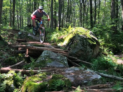 Spawn of Fern…. Alt line off of Fern Trail.