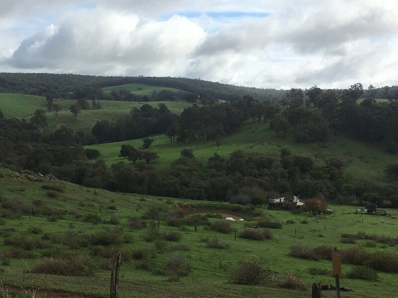 On the Munda Biddi Trail - beautiful rolling hills of farmland in the Ferguson valley.