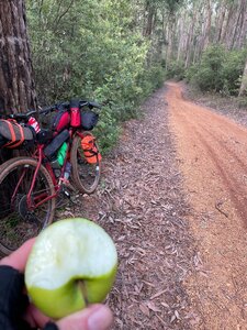 Munda Biddi trail in Mornington, between Yarri campsite and the town of Collie. Photo Credit: John de Bes