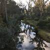 Crossing the Blackwood River, coming into Nannup on the Munda Biddi cycle trail