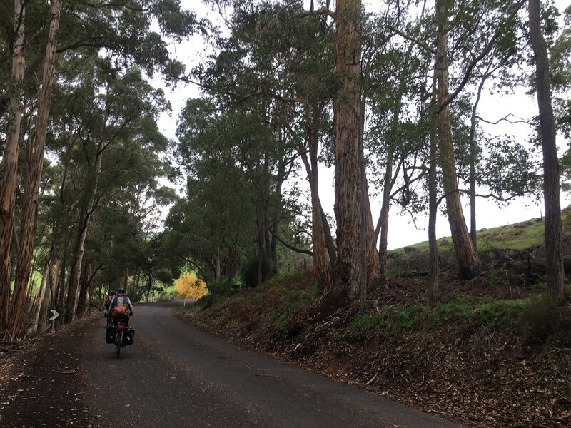 Some road riding leaving Nannup, but its still beautiful. On the Munda Biddi Trail.