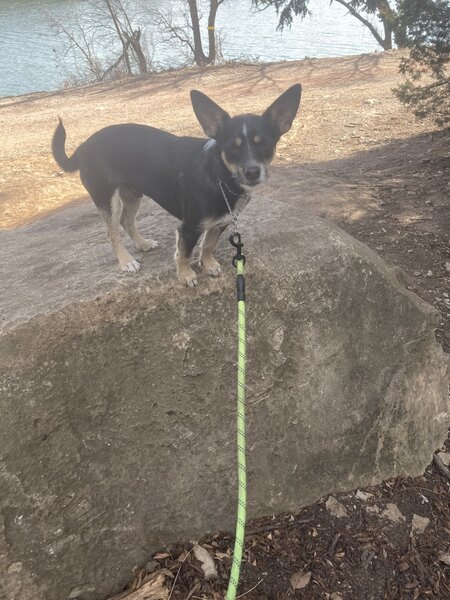 Feather enjoyed hiking the Bobcat Beat trail.