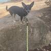 Feather enjoyed hiking the Bobcat Beat trail.