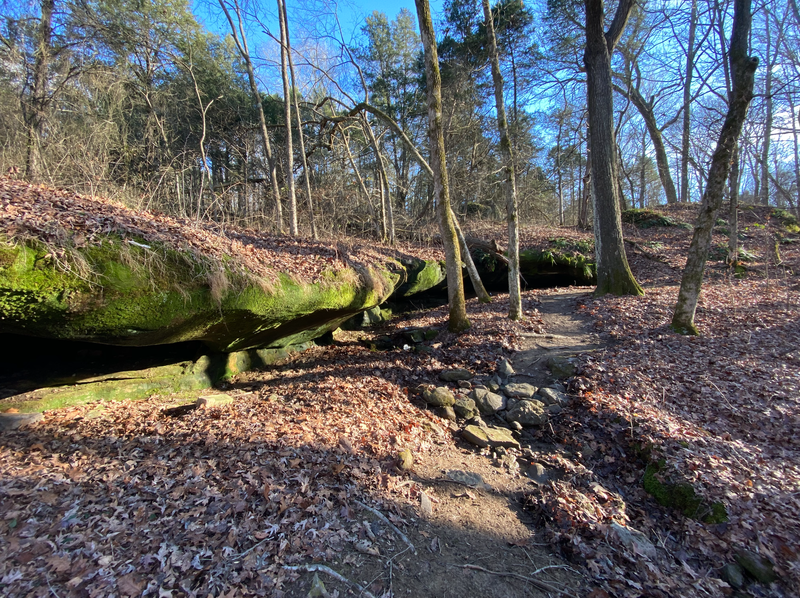 Exposed sandstone and rock garden along White Room East