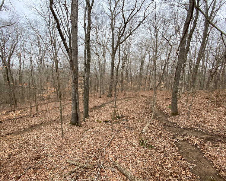 The top of the downhill switchback section of Rollin' and Tumblin'