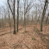 The top of the downhill switchback section of Rollin' and Tumblin'