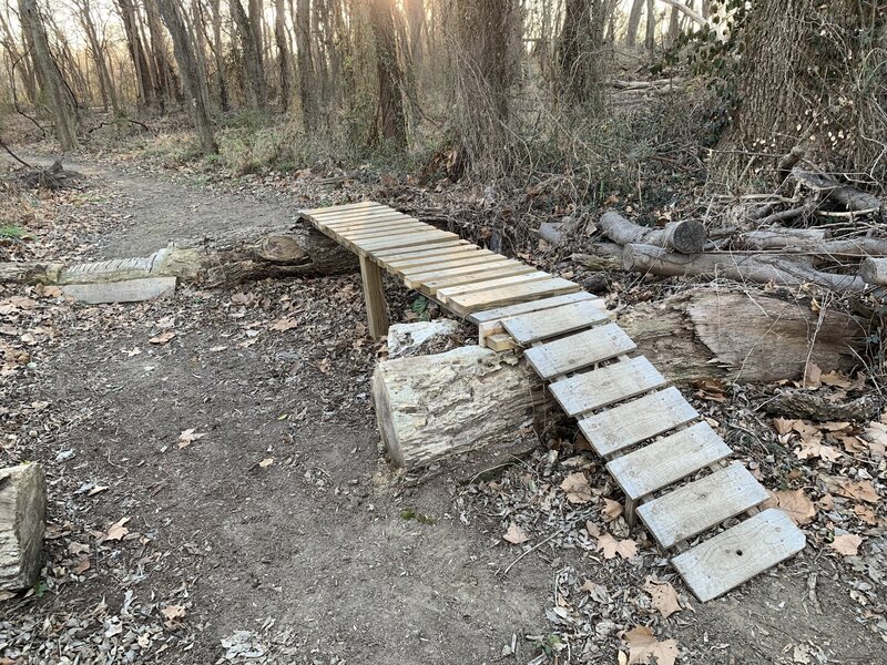 Wooden feature on the Sidewinder Trail in Clinkenbeard Park.