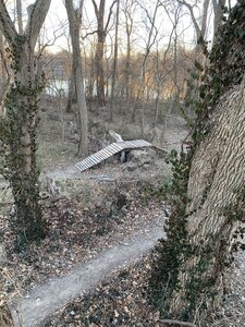 Wood feature on sidewinder trail, viewed from the starter tower.