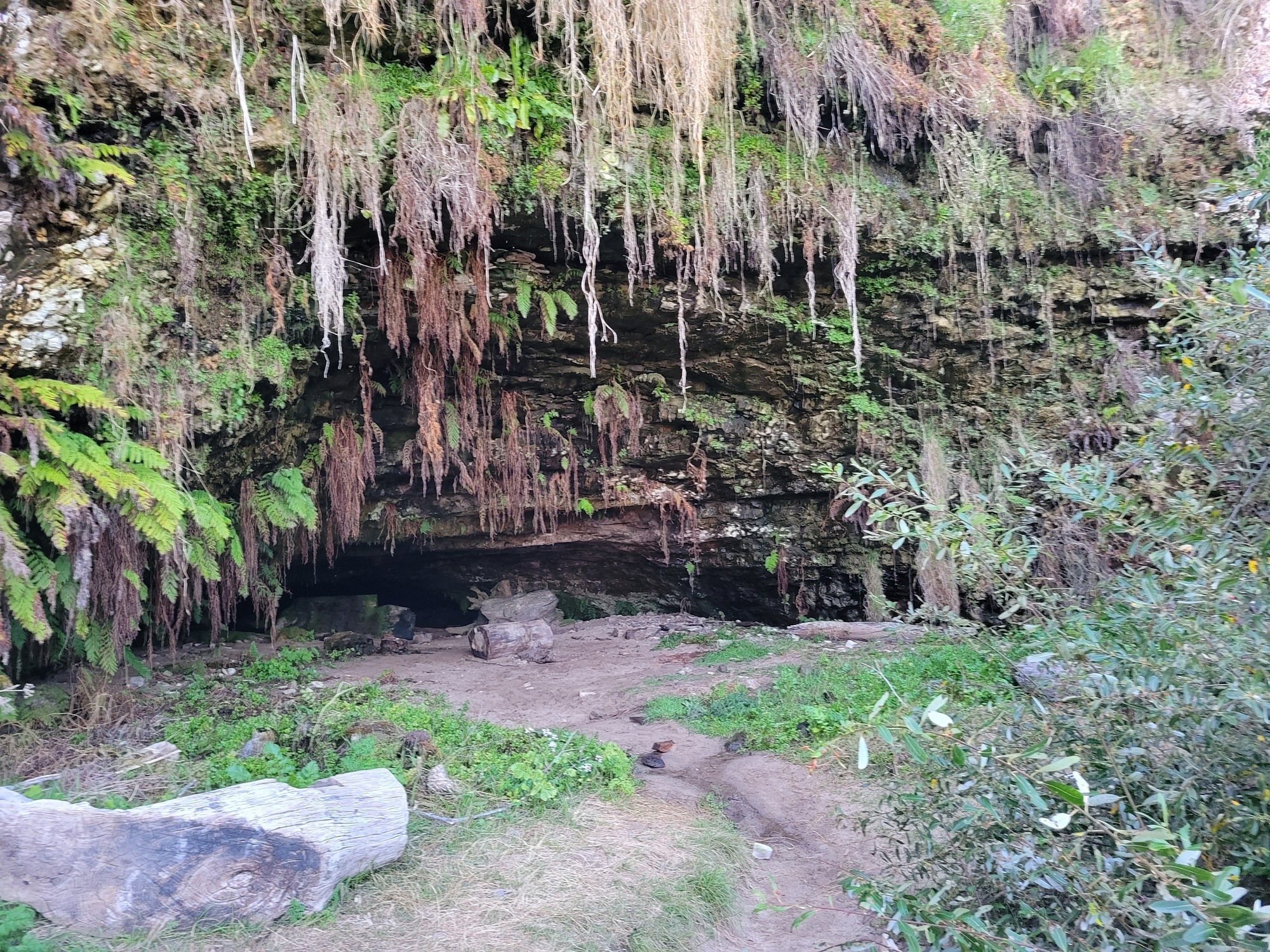 The Cave at Fern Grotto. Sorry for the lighting and lack of scale