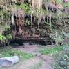 The Cave at Fern Grotto.  (Sorry for the lighting and lack of scale.)  It's fairly big, and goes back a ways into the cliff beyond the logs to the left.  Bring a flashlight/torch.