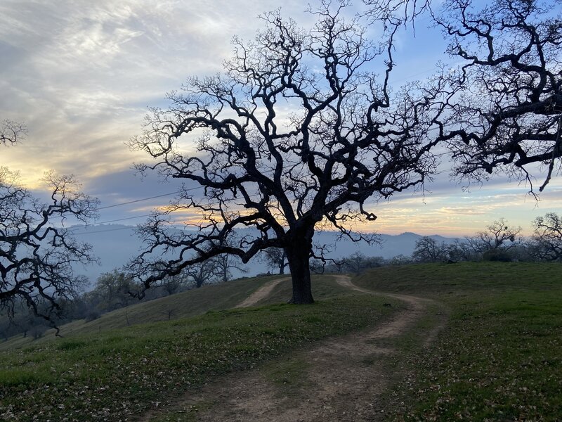 Steep and a bit loose. Not worth riding other than for cardio