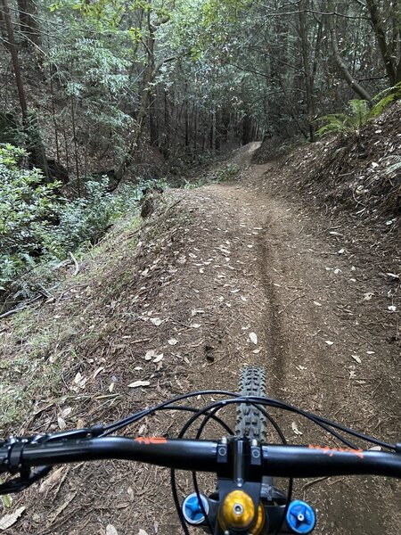 singletrack