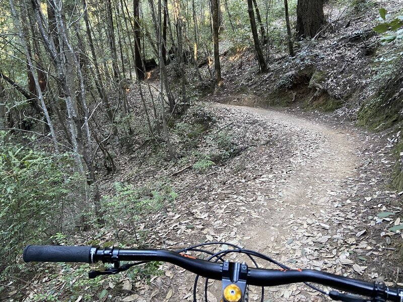 singletrack