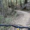 singletrack