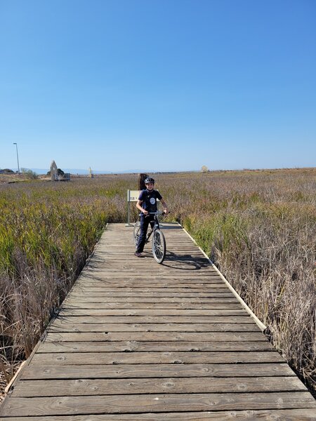 The old Alviso Marina is now a marsh.