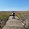 The old Alviso Marina is now a marsh.