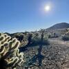 Desert landscape of the trail.