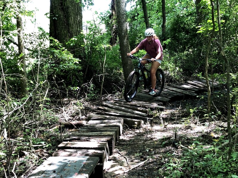 Bridge over the swamp.