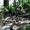 Bridge over the swamp.