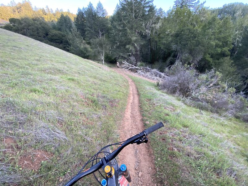 singletrack