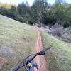 singletrack