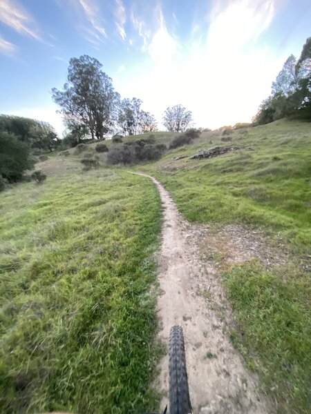 singletrack