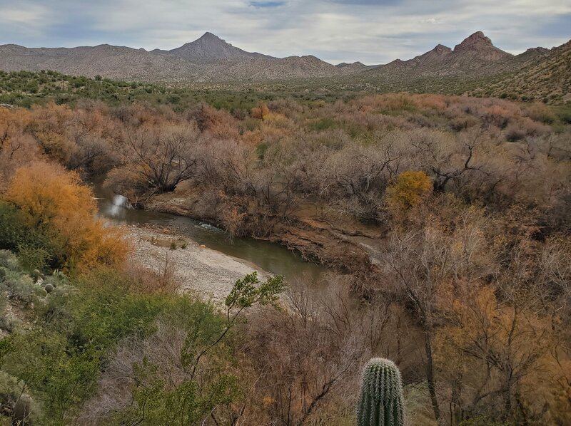 Gila river