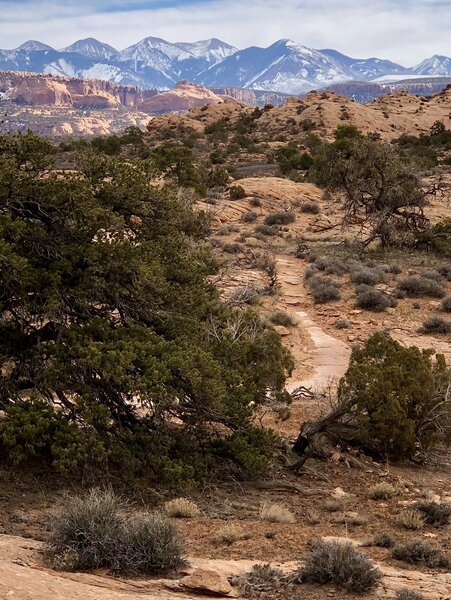 Looking east on Falcon Flow.