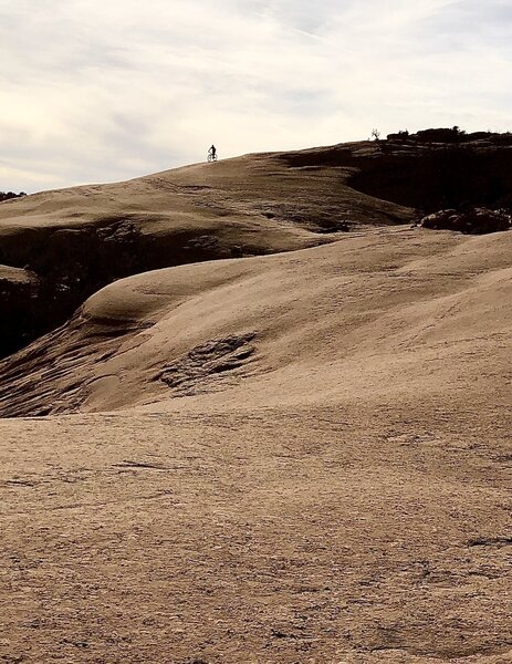 Ramblin' in February