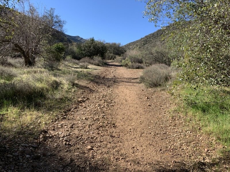 General view up the road when it breaks out into more open terrain.