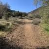 General view up the road when it breaks out into more open terrain.