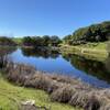 Cattail Pond, after riding down the Yarrow Trail