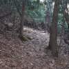 Part of the Natural Bridge trail in