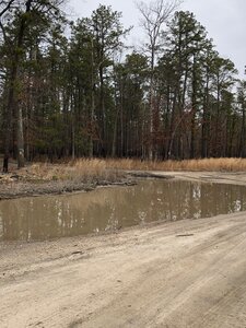 Left on Penn Swamp Rd - yellow blaze on tree