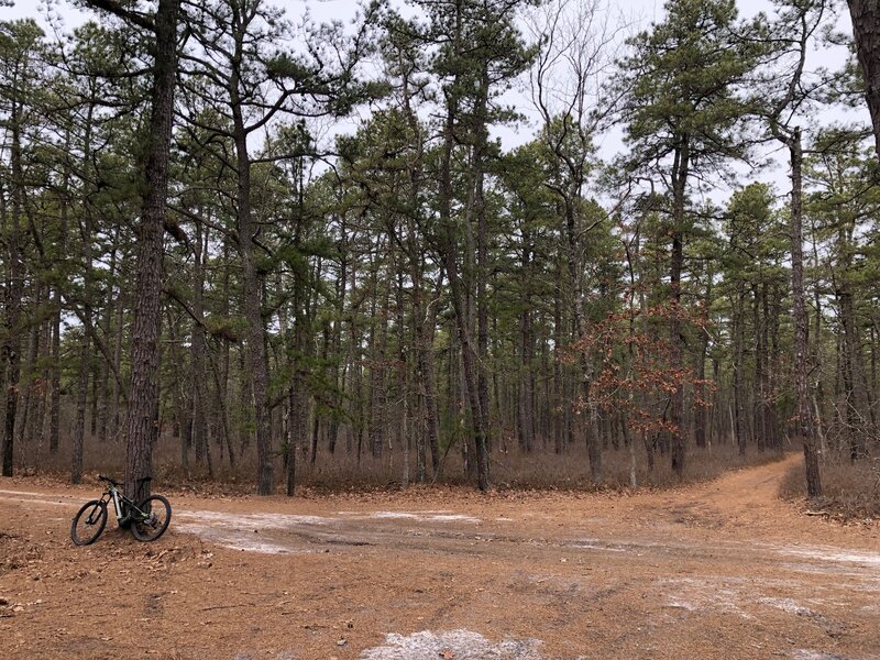 Turn left on Bulldozed Rd toward Lower Forge Rd