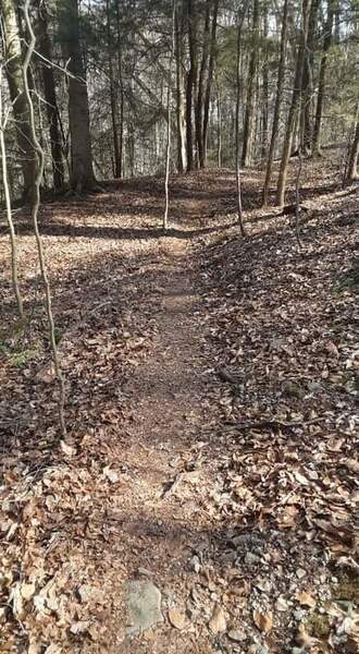 Rocky Ridge trail singletrack