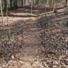 Rocky Ridge trail singletrack