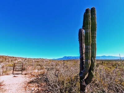 Towards the beginning of the trail and fence crossing. Blue skies and 90 degrees in January 2021