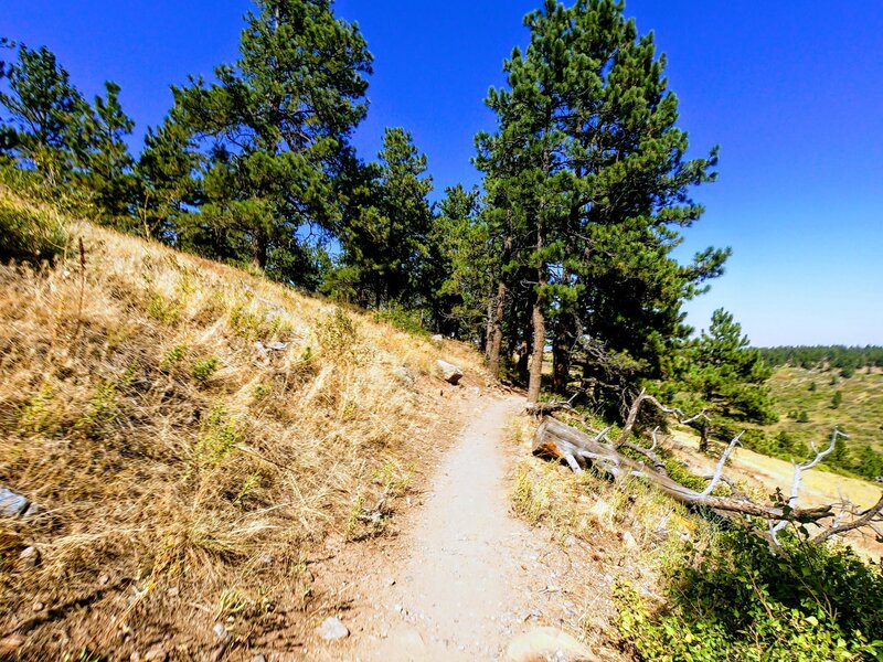 Towards the return from Spring Brook North Loop brings in fast, technical and rocky spots. This portion of the trail is one way only to control traffic